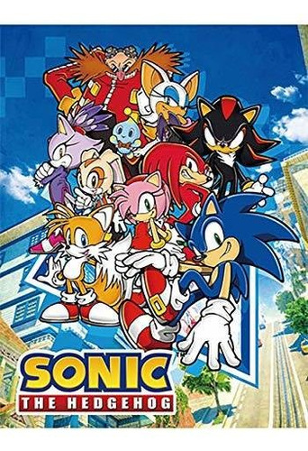 Sonic The Hedgehog Gran Grupo De Sublimación De Sublim...