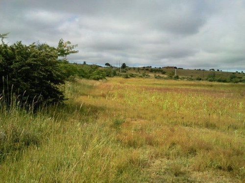 Imagen 8 de 20 de Chacra En Venta, Villa Giardino, Córdoba.