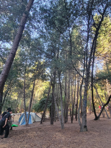 Camping Vilches