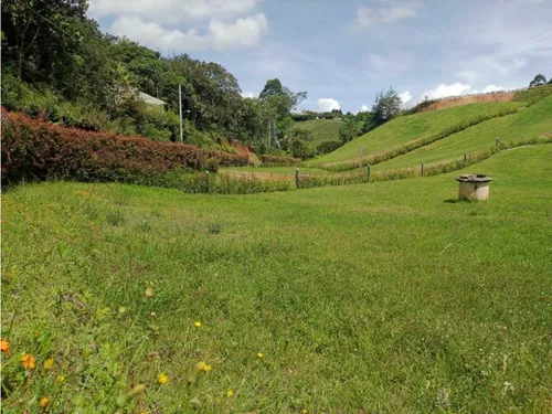 Hermosos Lotes En Venta Con Excelente Ubicación Y Vista - Carmen Víb.