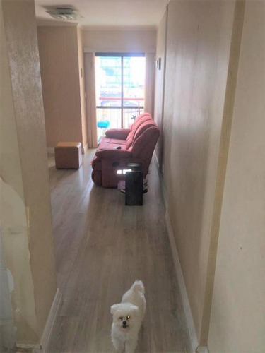 Imagem 2 de 30 de Apto Na Vila Matilde Com 3 Dorms, 2 Vagas, 64m² - Ap13700