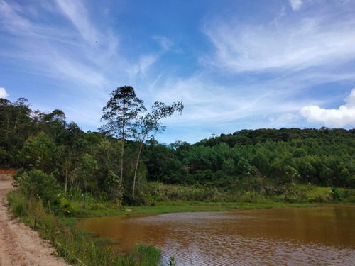 Imagem 6 de 10 de Ninho Verde Ii - Proximo A Sorocaba!