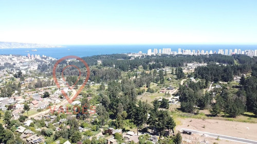 Terreno En Los Pinos Excelente Conectividad