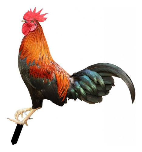 Mz Estacas De Jardín Con Estatua De Animales De Gallo,