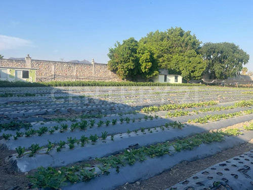 En Venta Terrenos En Itzamatitlán, A 10 Min. De Caseta De Oacalco, Morelos