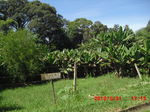 Imagem 3 de 4 de Terreno Com 1000m2 Em Condomínio