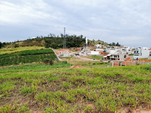Imagem 1 de 6 de Terreno À Venda Em Roncáglia - Te013553