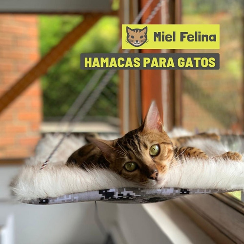 Hamacas De Ventana Para Gatos. Tela De Peluche - Miel Felina