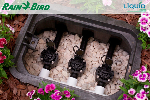 Imagen 4 de 6 de Electroválvula 100hv Rain Bird - Normal Cerrada 24v