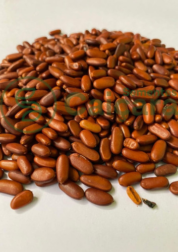 Sementes De Árvore Falso Barbatimão 100g