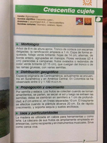 Imagen 7 de 9 de El Manto De La Tierra: Flora De Los Andes Car
