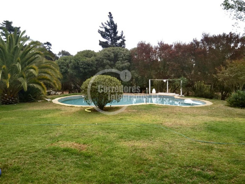 Gran Casa 2 Pisos, 5 Dorm, Jardín, Los Pinos De Reñaca