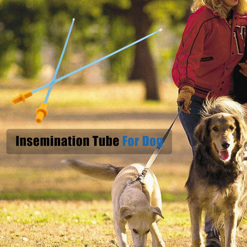 Tubo De Inseminación Artificial Desechable Para Perros, 50
