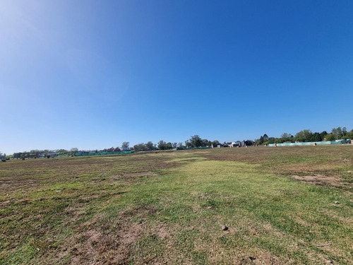 Imagen 8 de 18 de Lote En Vente En Santa Elisa Pilar Del Este