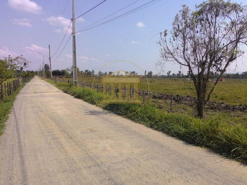 Imagem 16 de 16 de Rural Chacara - Ar059-v