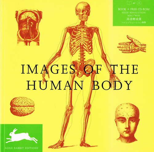 Images Of The Human Body