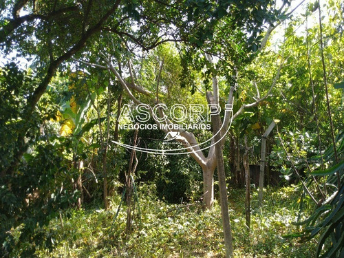 Imagem 9 de 30 de Chacara No Gran Park Residencial - Ch00066 - 71061359