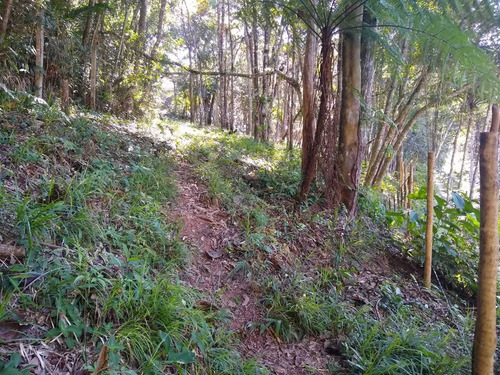 Imagem 11 de 14 de Lindo Terreno Com Otima Topografia Px Ão Centro