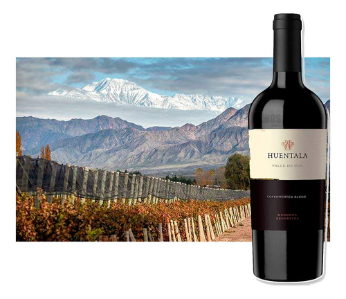 Vino Huentala Cofermented Malbec - Cabernet Franc 750ml