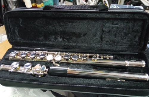 Flauta Traversa Instrumento Musical Nuevo Cod6395 Asch