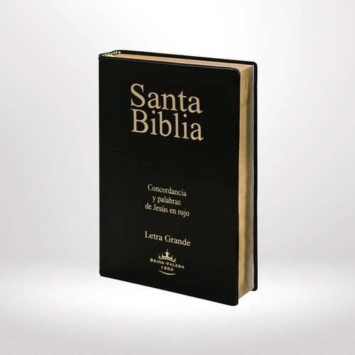 Imagen 1 de 3 de Biblia Reina Valera 1960 Letra Grande Pjr Concordancia Negro
