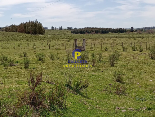 73 Hectáreas En Canelones