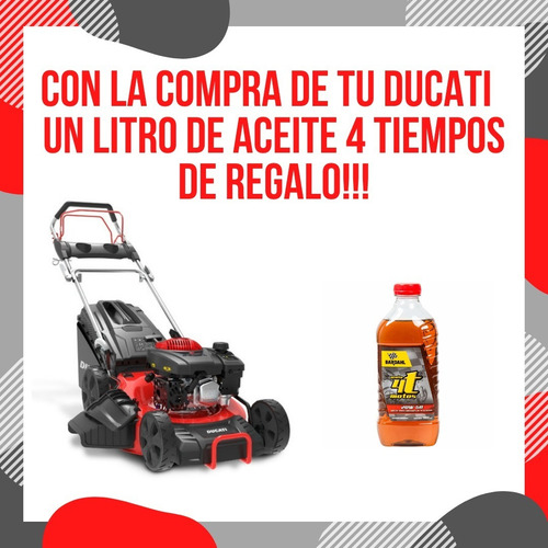 Imagen 2 de 3 de Cortacésped Ducati Dlm5301p 4.4hp De Empuje