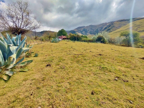 Imagen 2 de 9 de Venta Terreno 1000m2 La Loma De La Ovejeria Tafi Del Valle