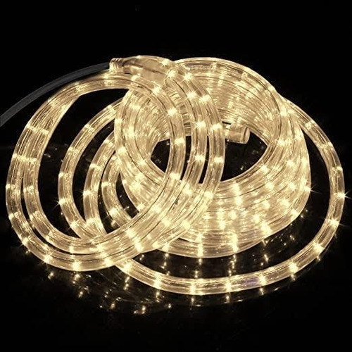 Manguera De Led 10mts