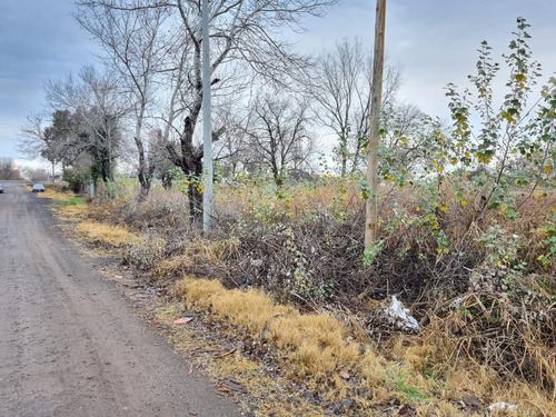 Terreno En Alquiler Ideal Proyecto En Funes Rosario