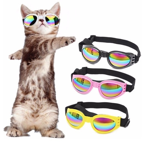 5 Gafas Perros Proteccion Uv Envio Gratis