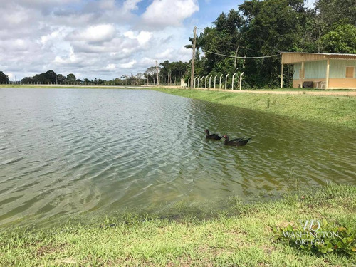 Imagem 9 de 30 de Fazenda Com 4 Dormitórios À Venda, 2460000 M² Por R$ 3.200.000,00 - Itacoatiara - Itacoatiara/am - Fa0001