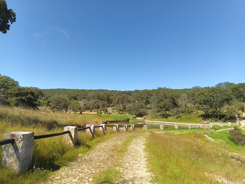 Terreno En Venta En Sierra De Lobos