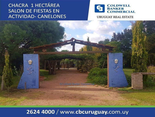 Chacra - Hectárea - Salón De Fiestas Ruta 6