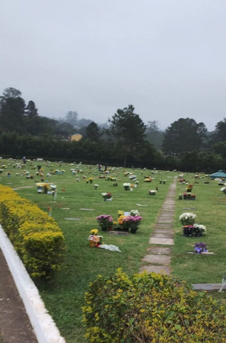 Jazigo Simples Padrão Com 3 Gavetas + Ossário. Cemitério Parque Dos Girassóis Parelheiros.