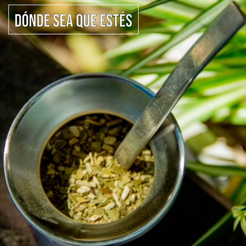 Imagen 7 de 11 de Mate Apolo Explorer Clasico Acero Inoxidable Terere Frio Cal