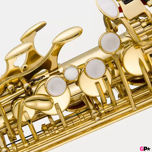 Saxo Alto Premium + Estuche Rigido + Boquilla + Color Dorado