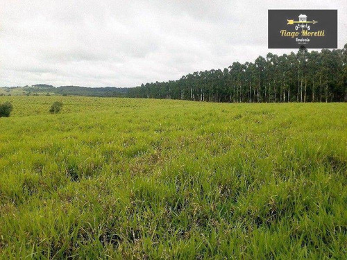 Imagem 8 de 15 de Fazenda Rural À Venda, Jardim Santo Antônio, Quadra - . - Fa0026