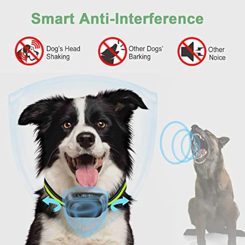 Collar Para Perros Antiladrido Con Vibracion Entrenamiento Negro