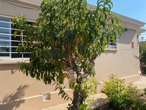 Imagen 6 de 16 de Se Vende Casa En Peña Blanca.