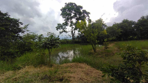 Imagen 12 de 14 de Baja De Precio... En Venta Finca En El Municipio Montalban - Carabobo