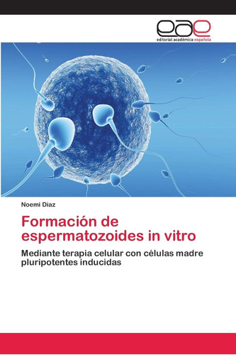 Libro: Formación Espermatozoides In Vitro: Mediante Terap