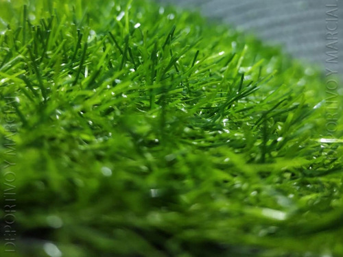 Imagen 3 de 10 de Cesped Sintetico Pasto Artificial 20 Mm 1 M2 6000 Dtx En3x