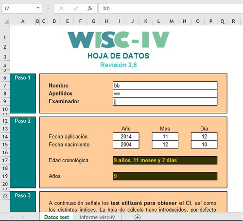 Planilla Generica De Correccion E Informe Para Wisc Iv Soft