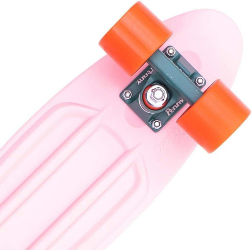 Penny Skateboards Cactus Wanderlust 22