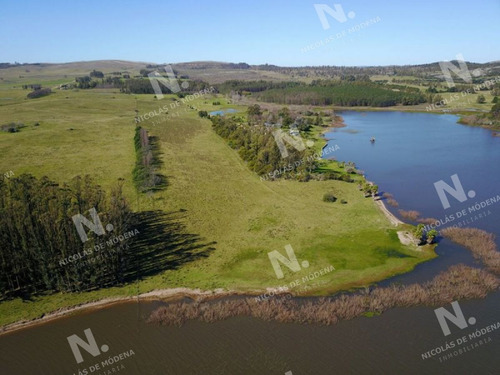Imagen 5 de 14 de Chacra En Venta Laguna Del Sauce - Punta Ballena Laguna Del Sauce