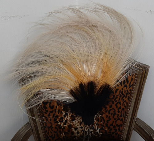 Fantasía Copete De Plumas Egrette Y Aves Del Paraíso