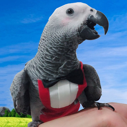 Cute Birds Flight Suit With Bow Tie Parrots Cute School Unif