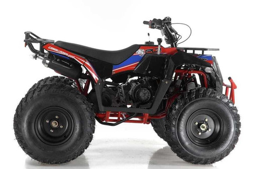 Imagen 3 de 8 de Cuatrimoto 200cc Commander Ranchera 2022 Polar P L R