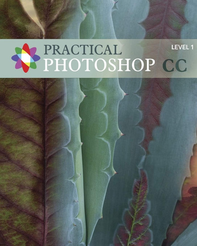 Libro: En Ingles Practical Photoshop Cc Level 1: Practical